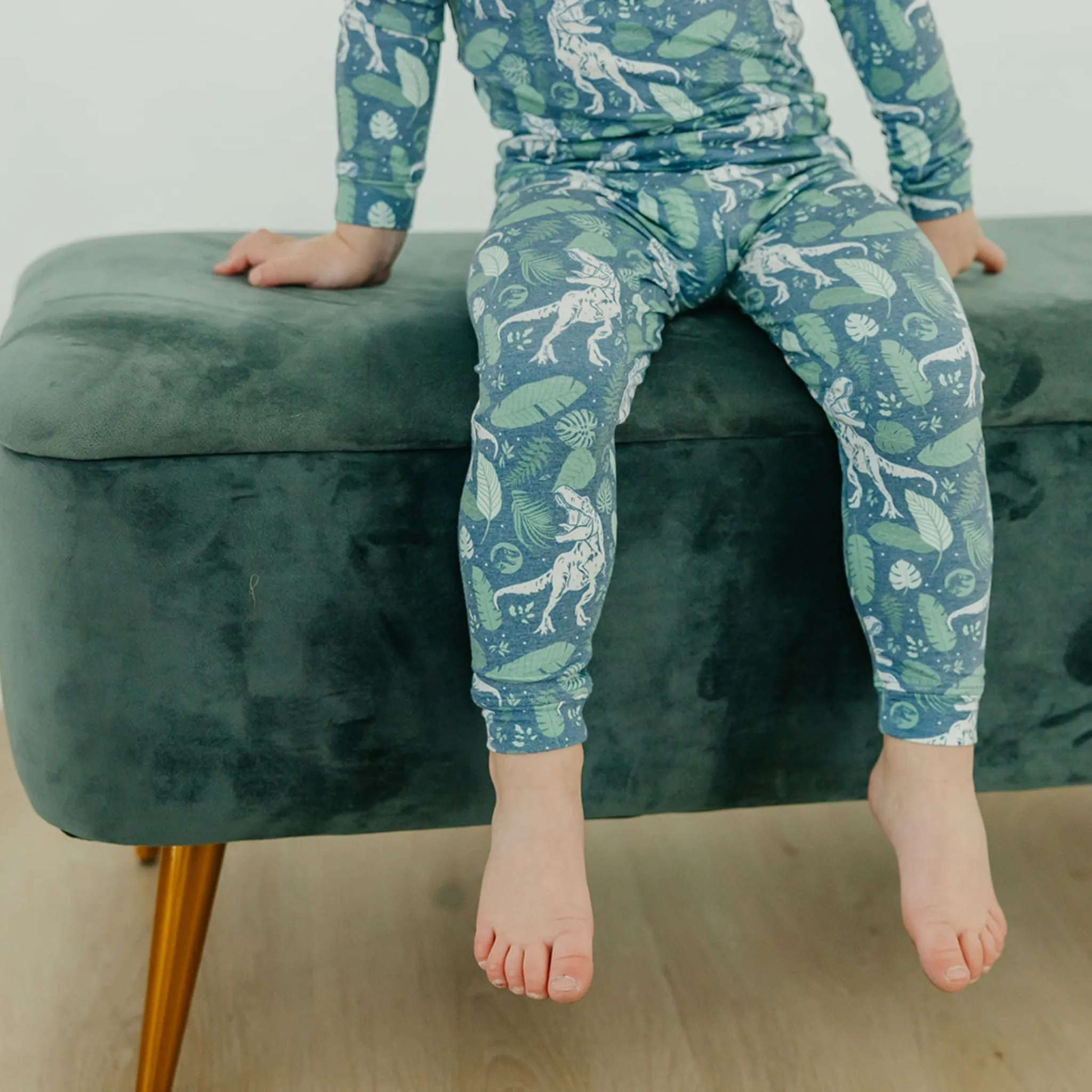 2pc Long Sleeve Pajama Set - Jurassic Park
