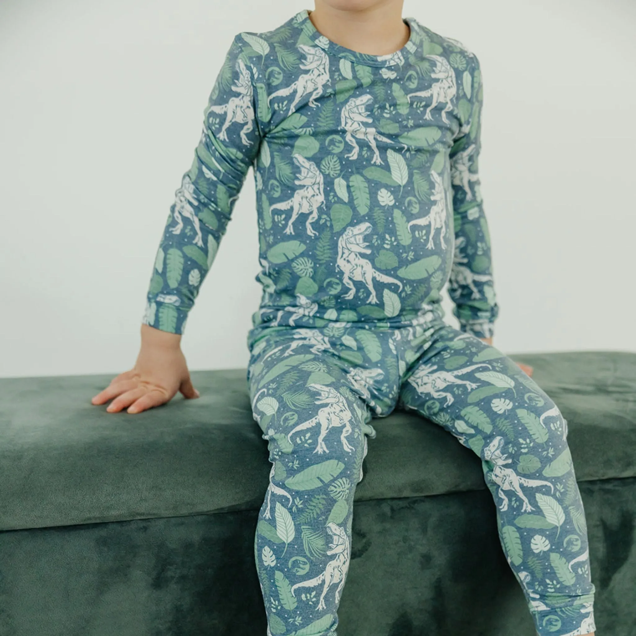2pc Long Sleeve Pajama Set - Jurassic Park