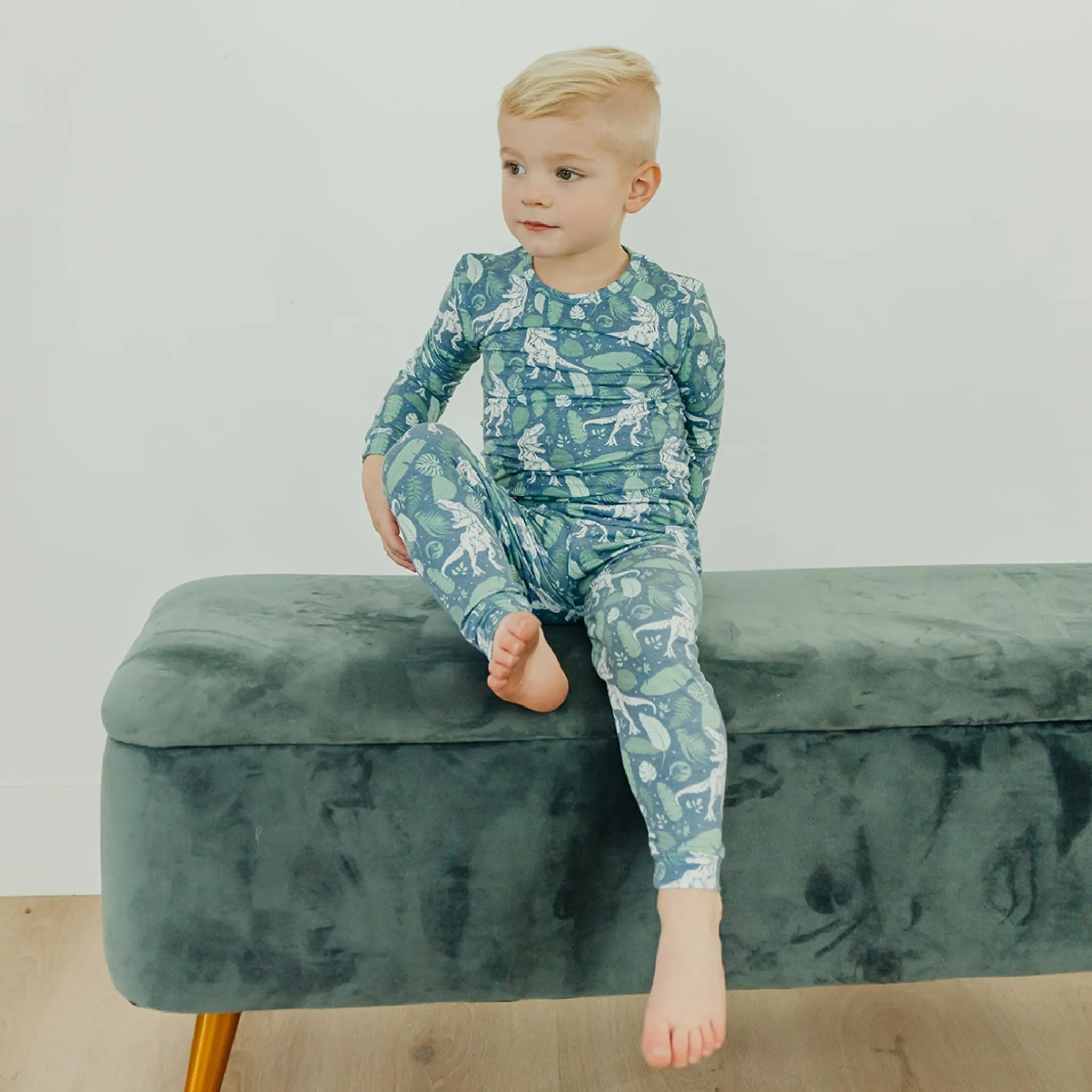2pc Long Sleeve Pajama Set - Jurassic Park