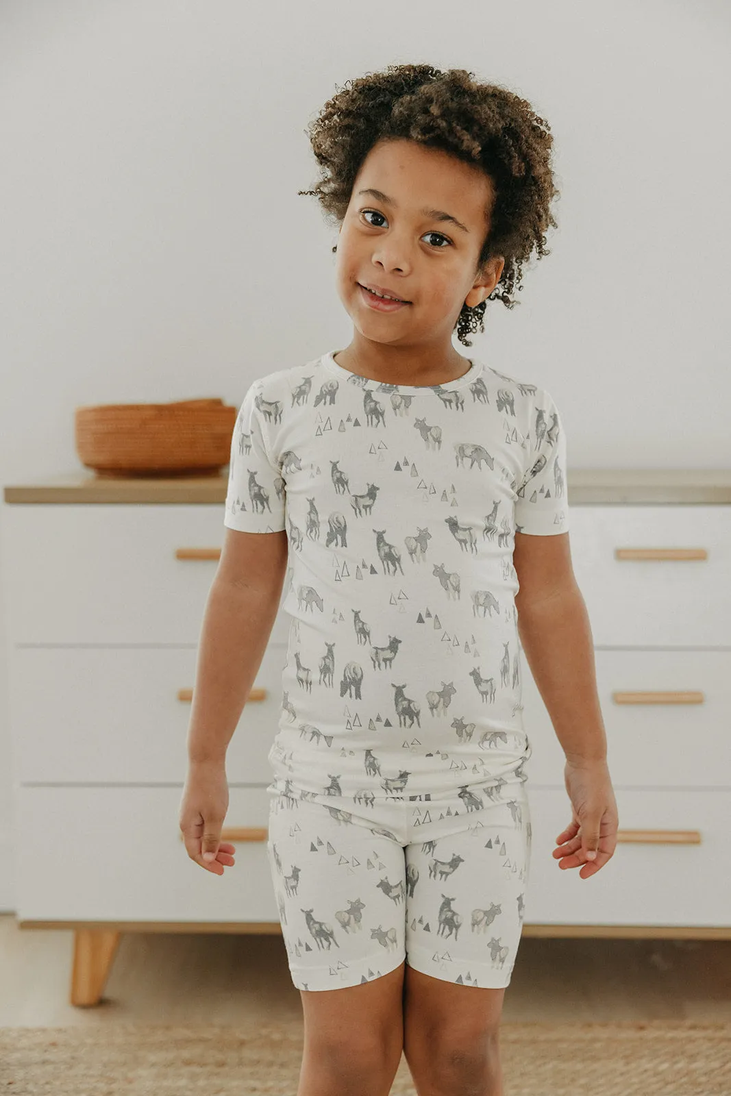 2pc Short Sleeve Pajama Set - Cody