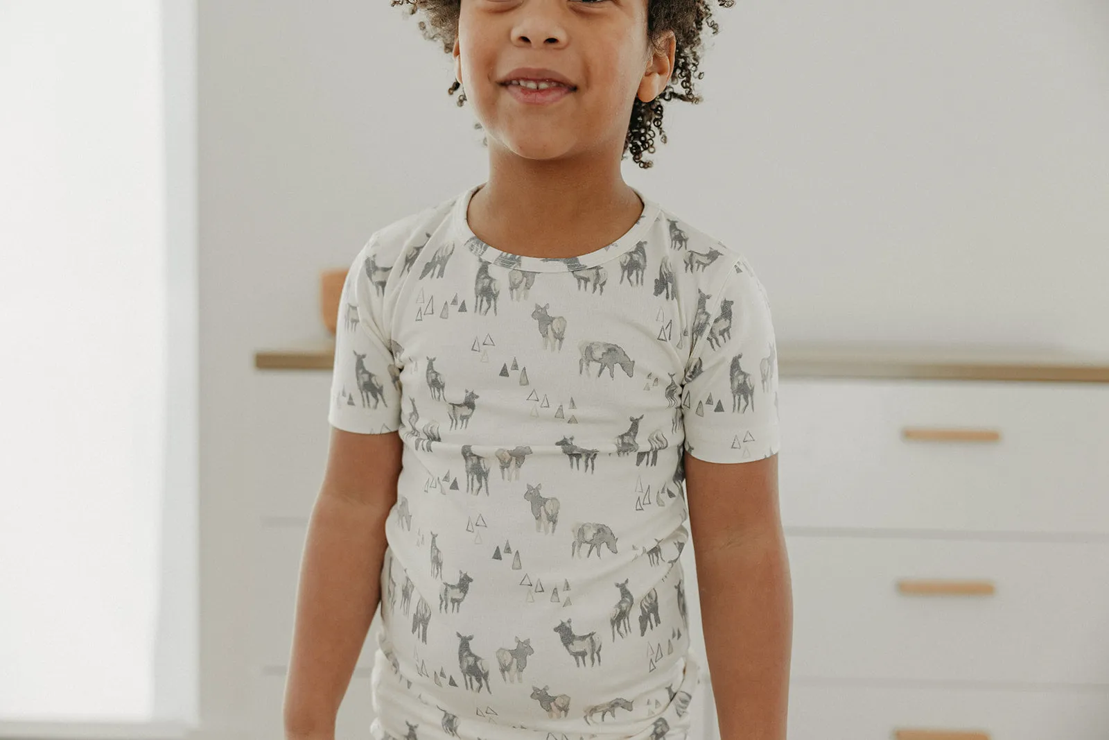 2pc Short Sleeve Pajama Set - Cody