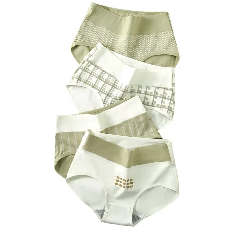 4-Pack Women's Plus Size Cotton Underwear Breathable Briefs