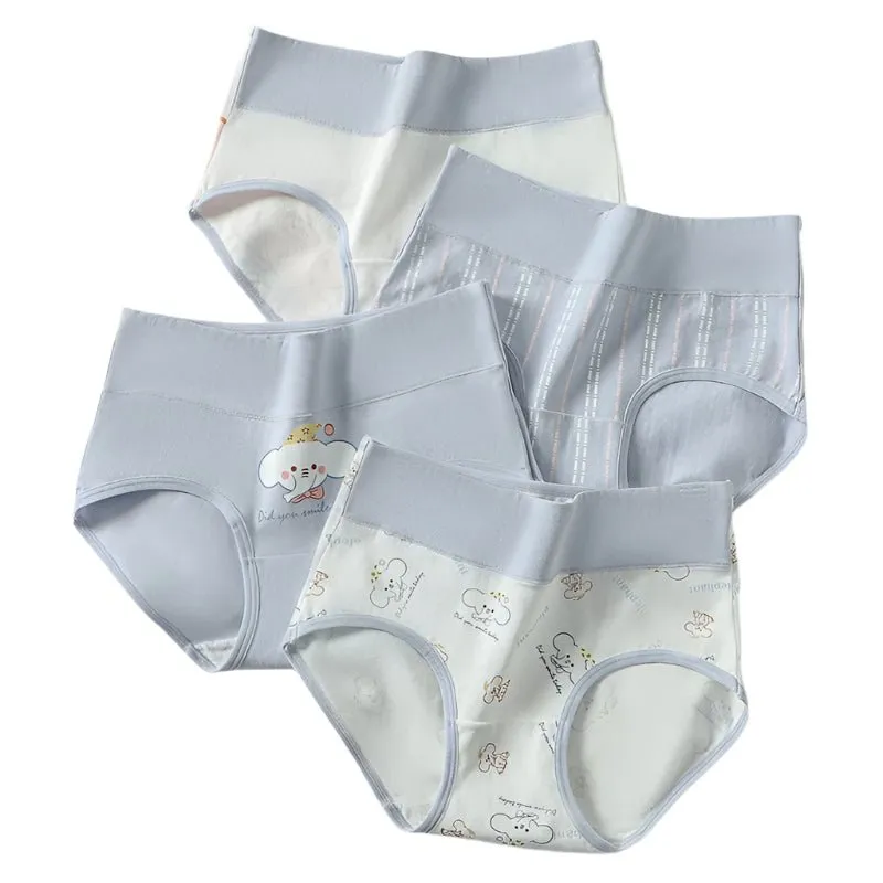4-Pack Women's Plus Size Cotton Underwear Breathable Briefs