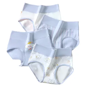 4-Pack Women's Plus Size Cotton Underwear Breathable Briefs