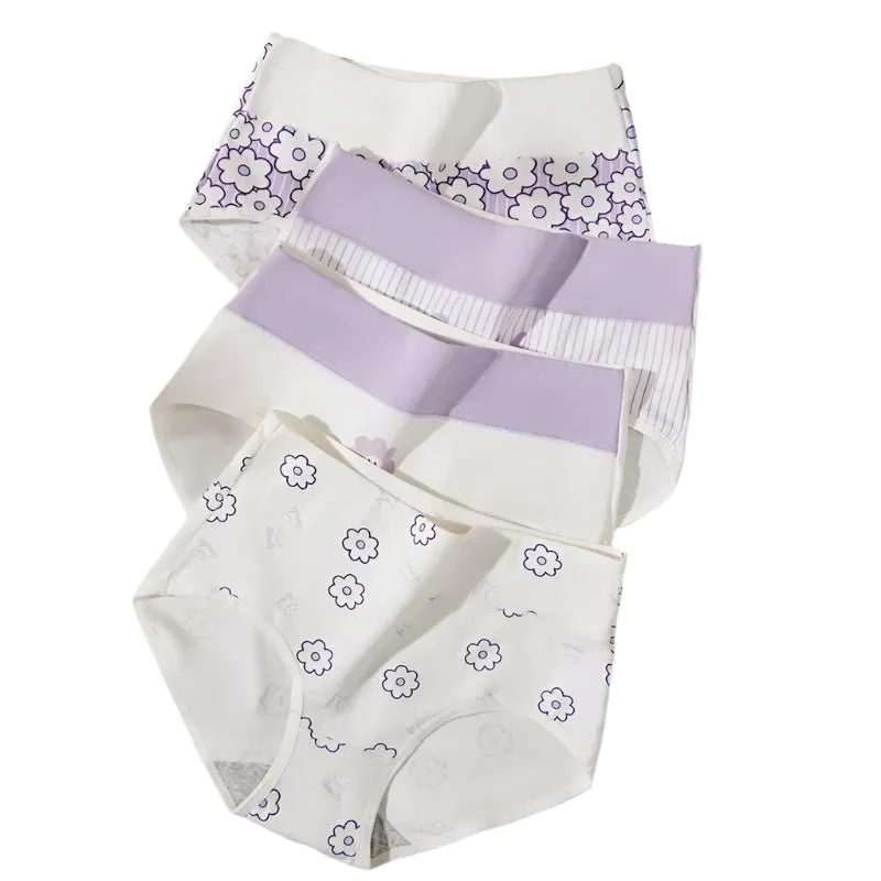 4-Pack Women's Plus Size Cotton Underwear Breathable Briefs
