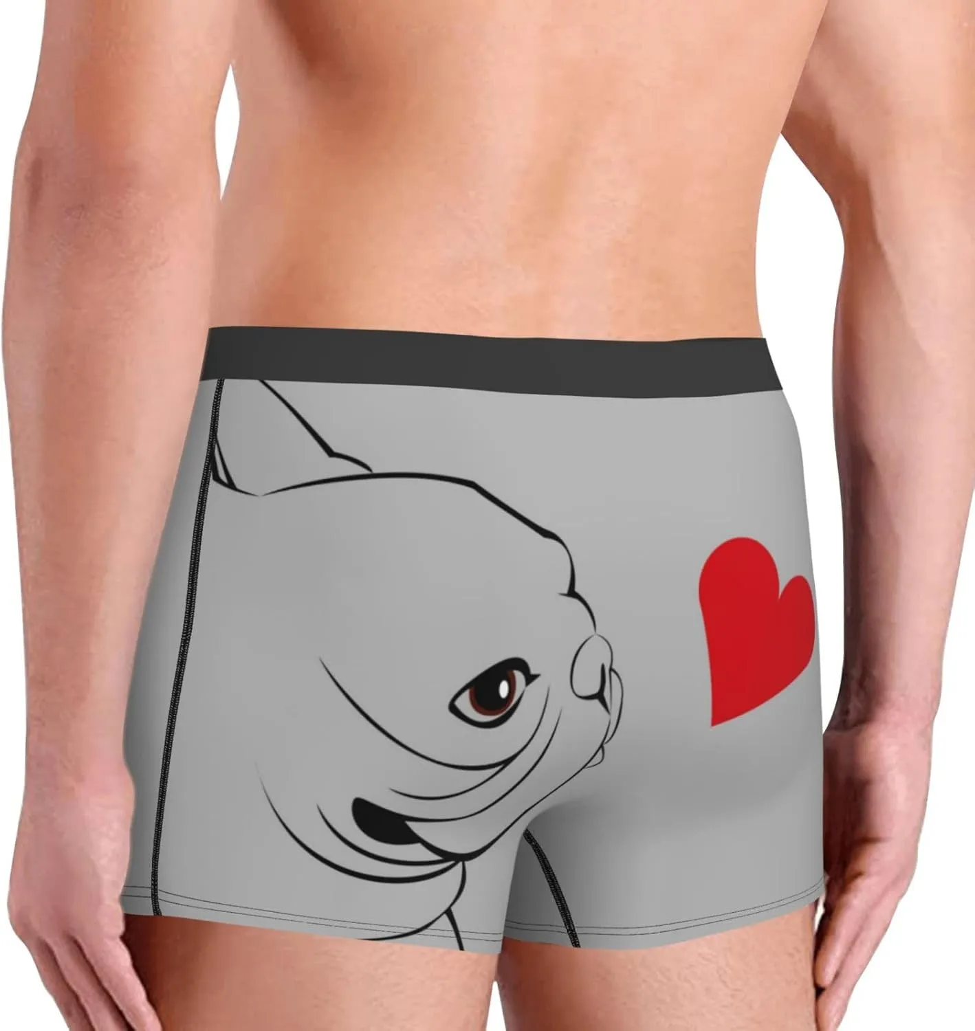 Animal Bulldog1 Print Boxer Briefs For Men Breathable Underwear-