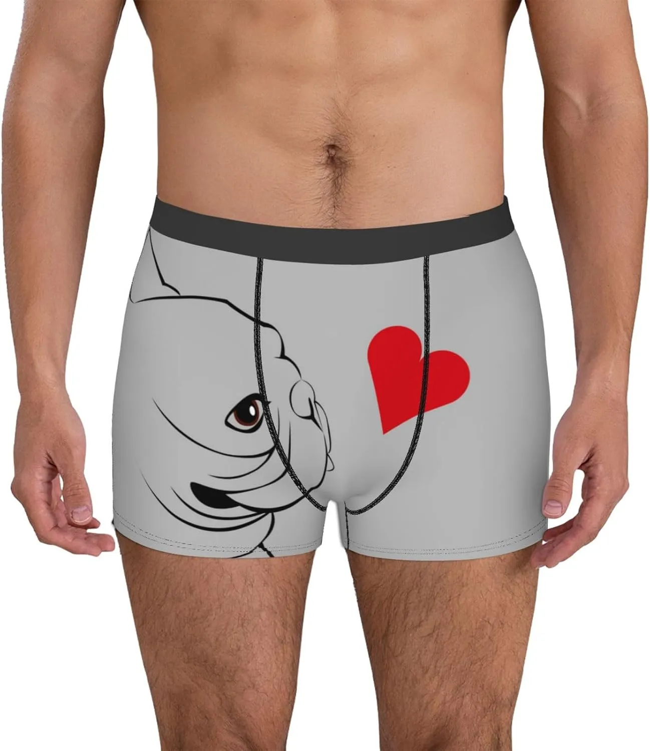 Animal Bulldog1 Print Boxer Briefs For Men Breathable Underwear-