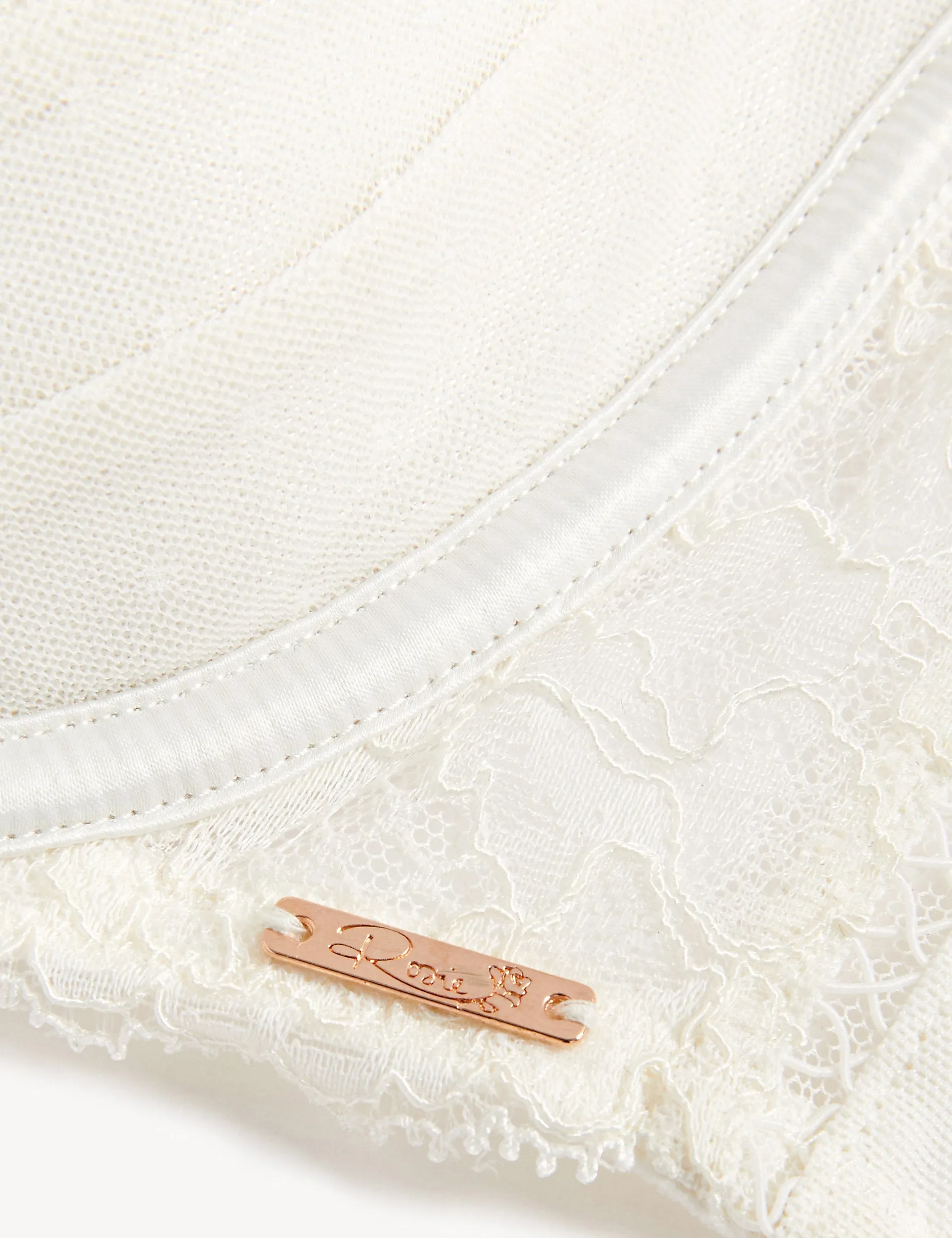 Aster Sparkle A-E Rosie Lace Plunge Underwire Bra ivory