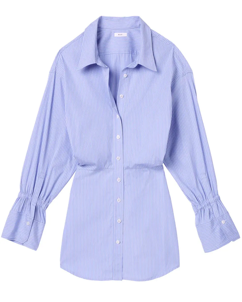 Blue and White Monica Dress