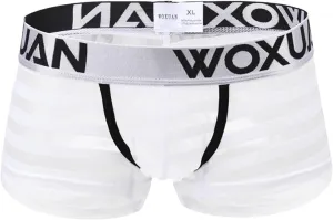 Boxers Briefs for Men Ice Silk Seamless Thin Breathable Boxer Briefs See Through Stretch Comfy Soft Pouch Cool Sexy Underwear