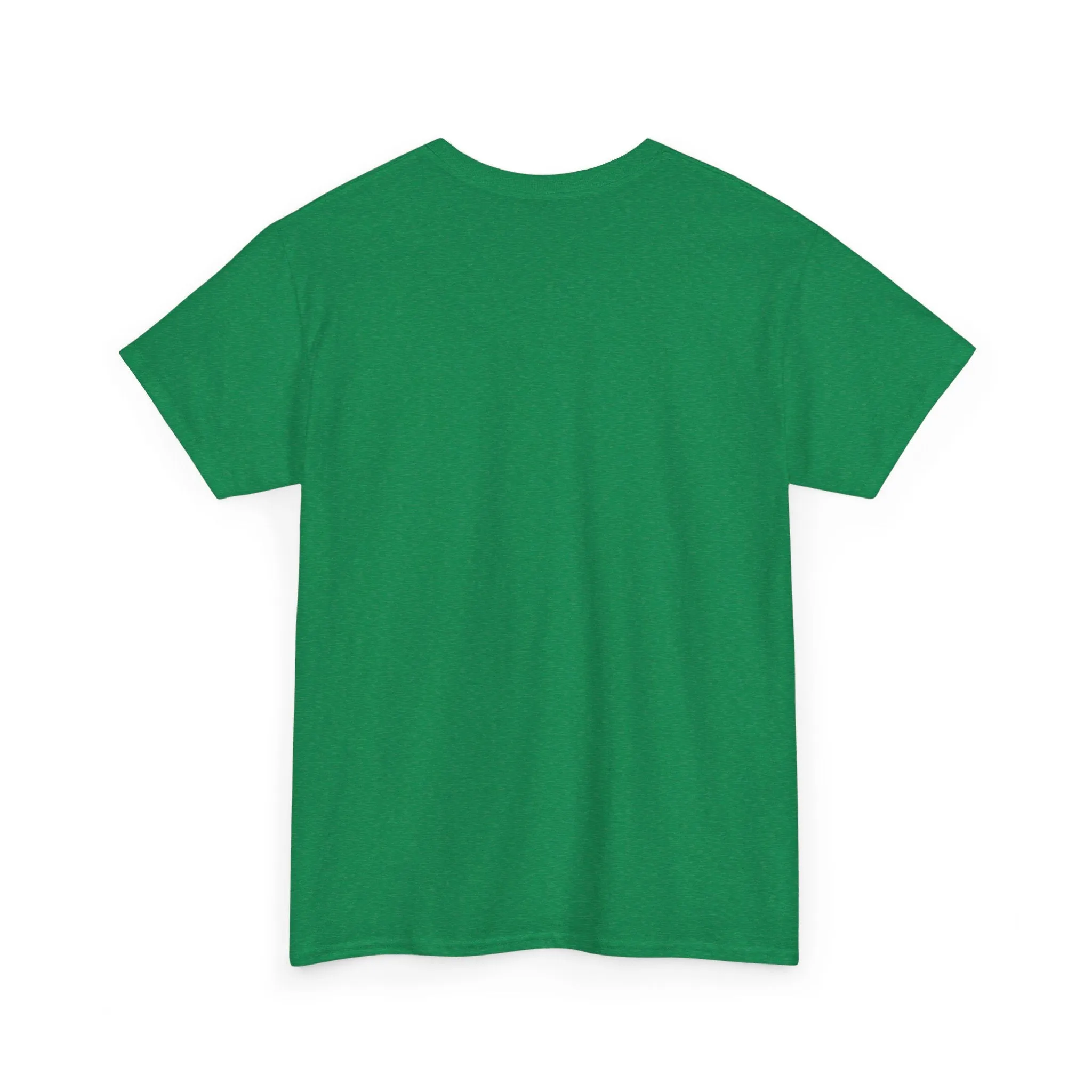 Captain AFAB - Dad Bod Kermit Plus Size Unisex T-Shirt