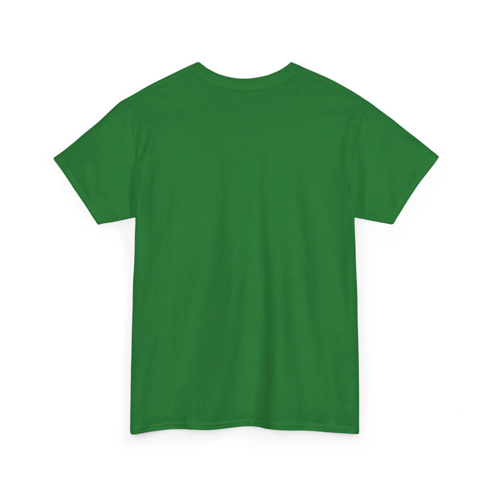 Captain AFAB - Dad Bod Kermit Plus Size Unisex T-Shirt