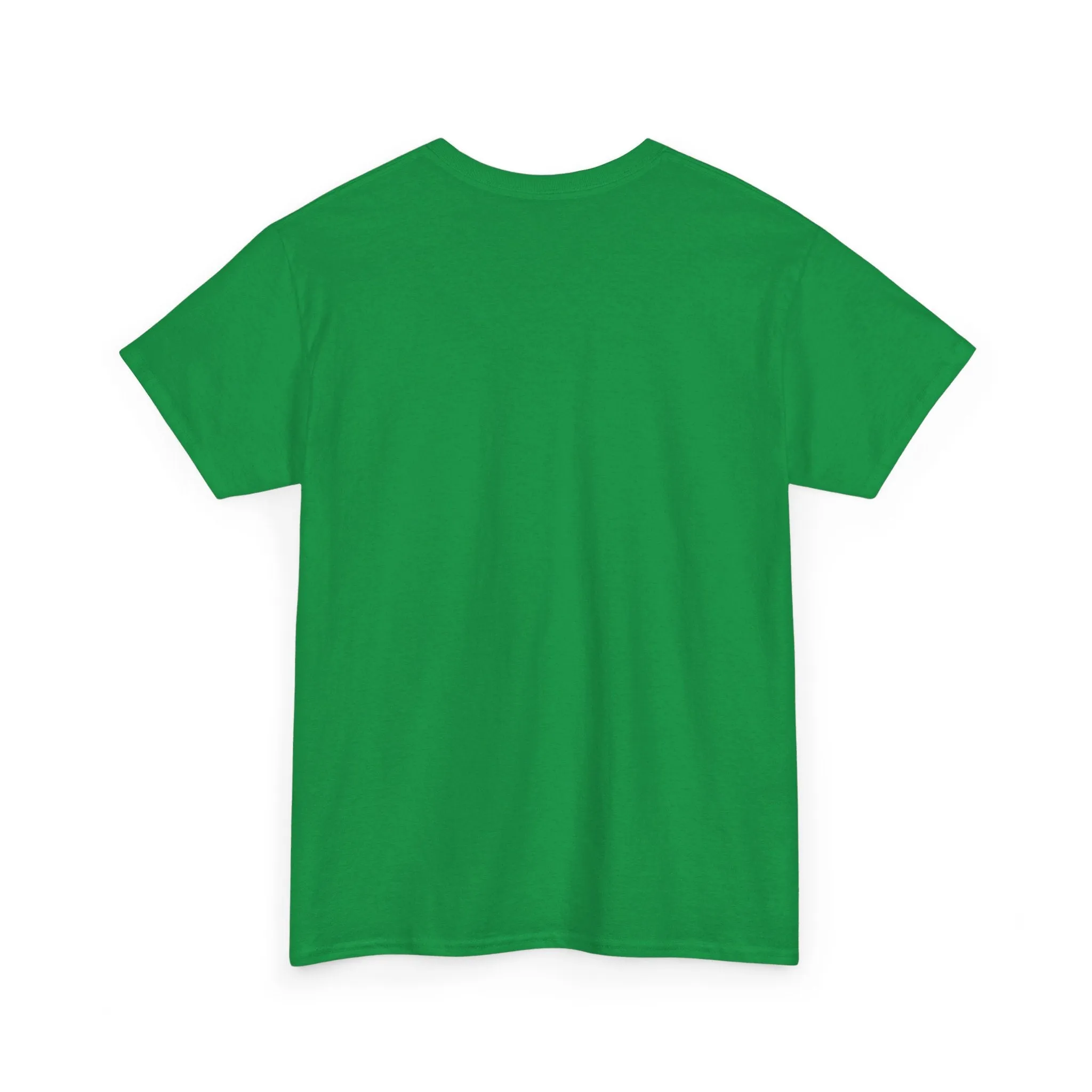 Captain AFAB - Dad Bod Kermit Plus Size Unisex T-Shirt