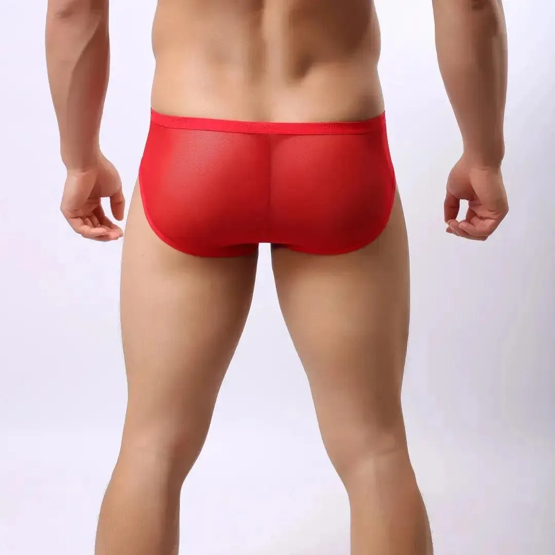 DomiGe Men's Sheer Briefs with Contoured Pouch and Logo Waistband