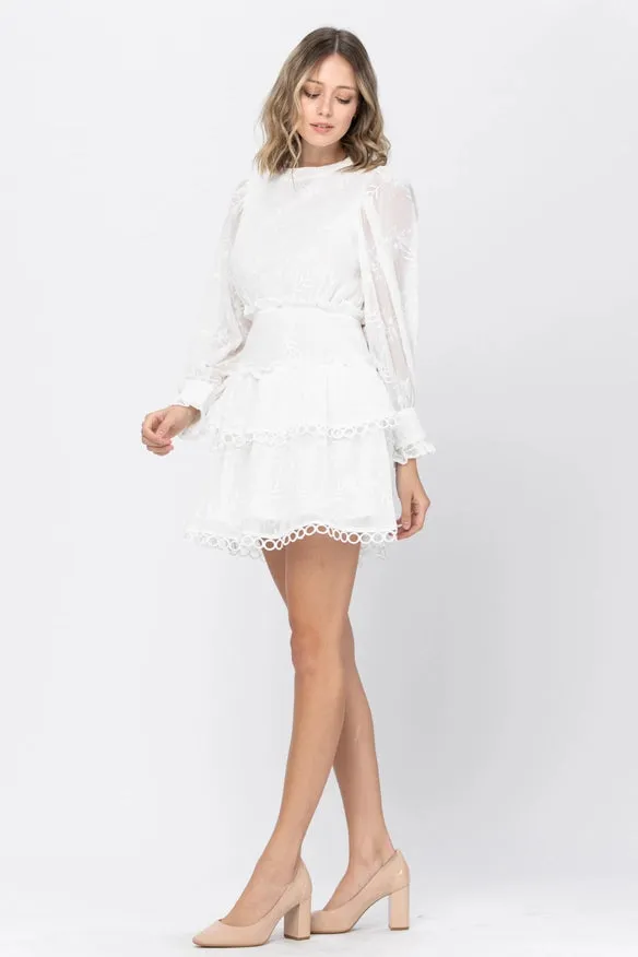 Embroidery Fabric Ruffle Point Mini Dress