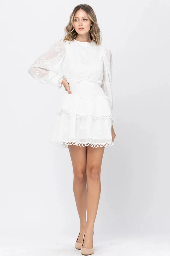 Embroidery Fabric Ruffle Point Mini Dress