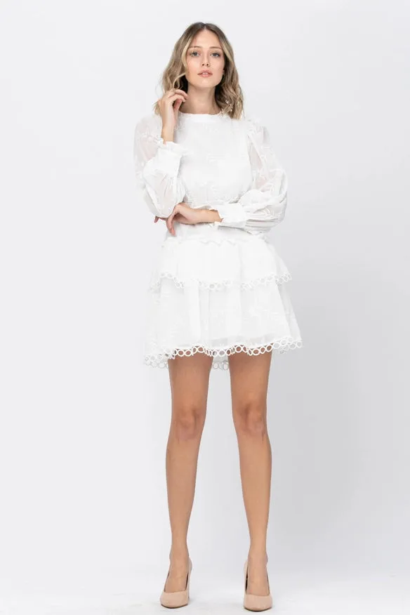 Embroidery Fabric Ruffle Point Mini Dress