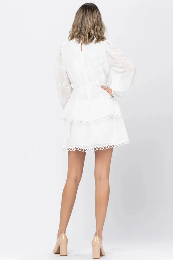 Embroidery Fabric Ruffle Point Mini Dress