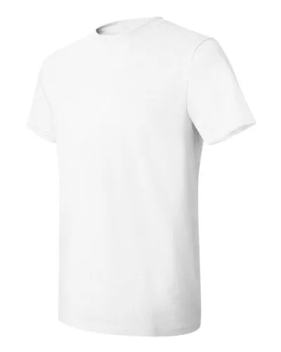 Hanes Men's Nano Premium Cotton T-Shirt (Pack of 2), White, Medium