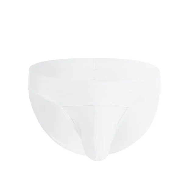 HUNG Pouchy Briefs