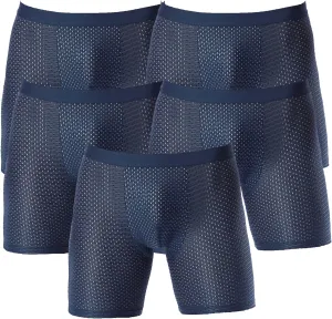 JEShifangjiusu Men'S Underwear See Through Sexy Mesh Breathable Boxer Briefs Low Rise Athletic Sports Stretch Boxers Panties