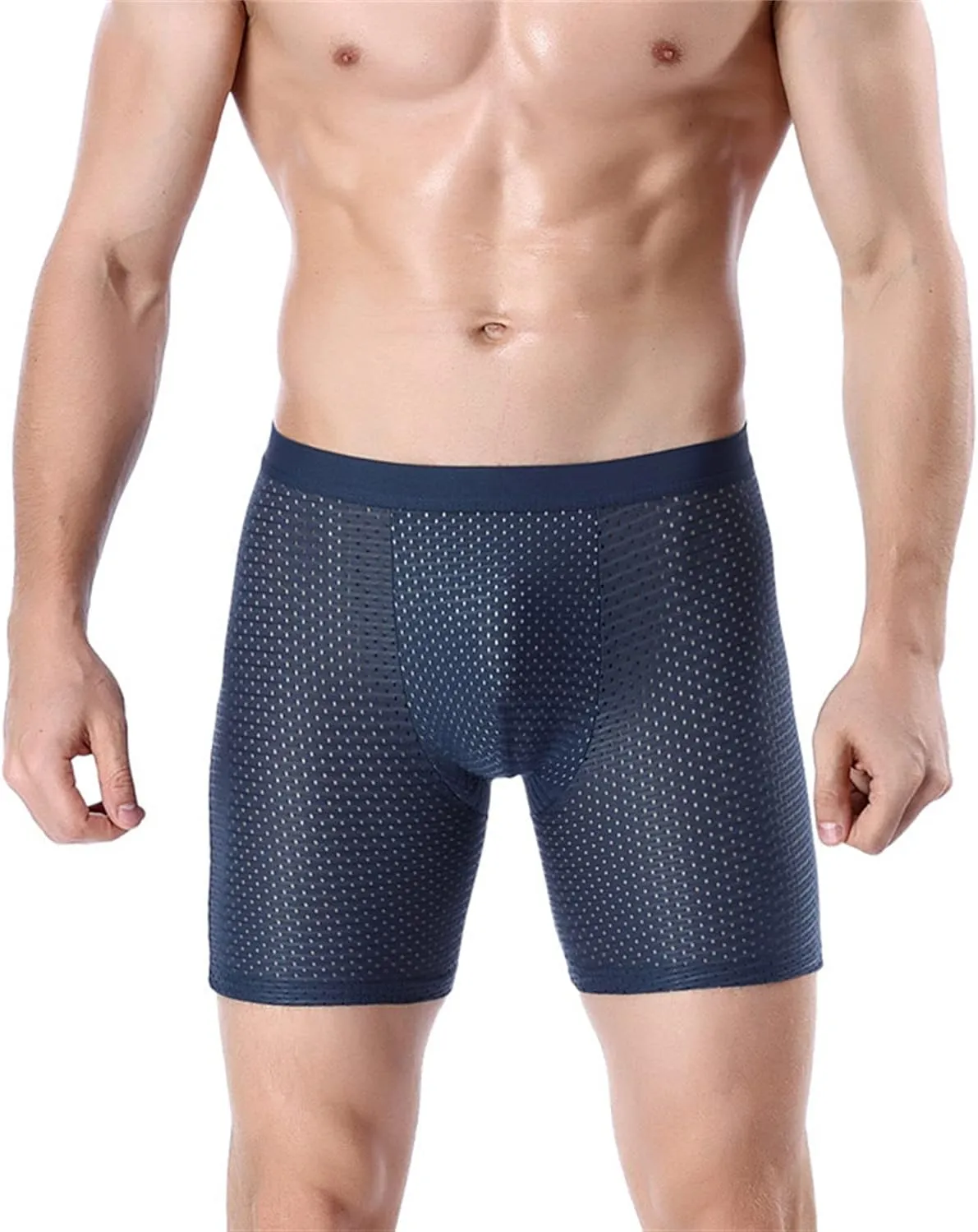 JEShifangjiusu Men'S Underwear See Through Sexy Mesh Breathable Boxer Briefs Low Rise Athletic Sports Stretch Boxers Panties