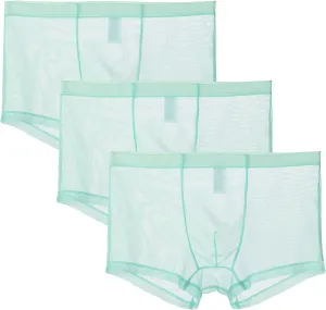 JEShifangjiusu Men'S Underwear Transparent Sexy Mesh Breathable Ice Silk Boxer Briefs See-Through Low Rise Cool Boxers 3Pack