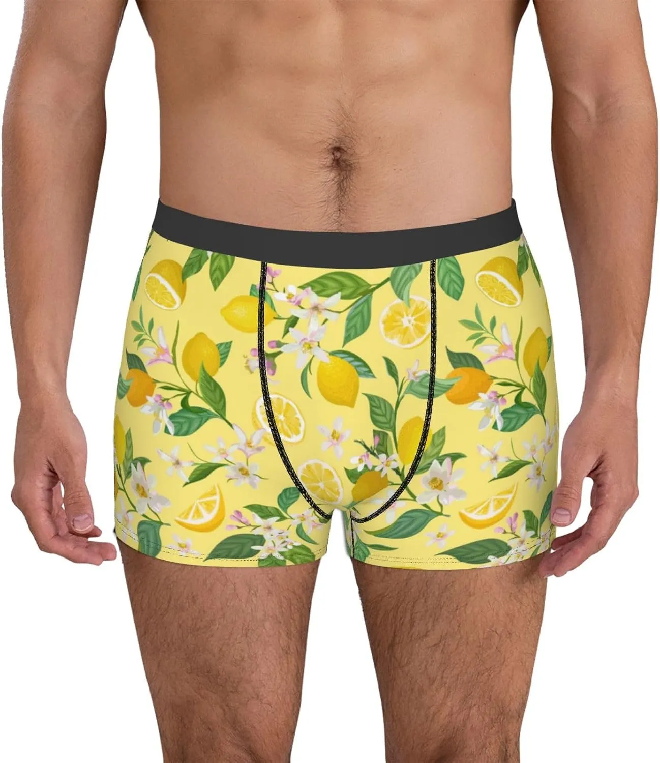 Lemon (2) Print Boxer Briefs For Men Breathable Underwear-