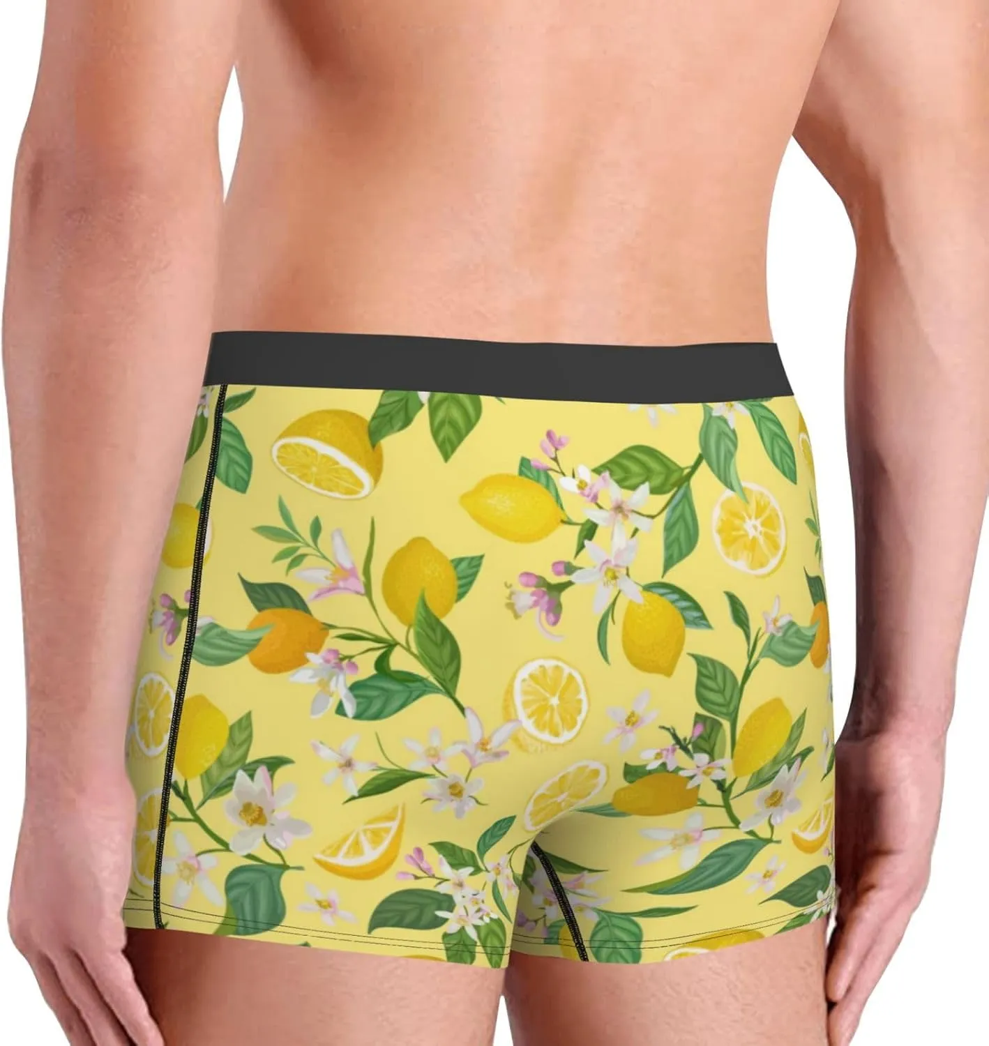 Lemon (2) Print Boxer Briefs For Men Breathable Underwear-