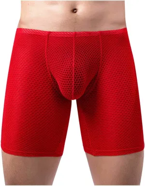 Long Leg Mesh Boxer Briefs for Men Breathable U Pouch Quick Dry Trunks Swimwear Mens Swim Underwear