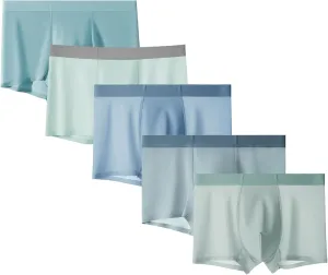 Maiyifu-GJ 5 Pack Mens Ice Silk Boxer Briefs Trunks Shorts Soft Breathable Underwear Lightweight Moisture-Wicking Underpants