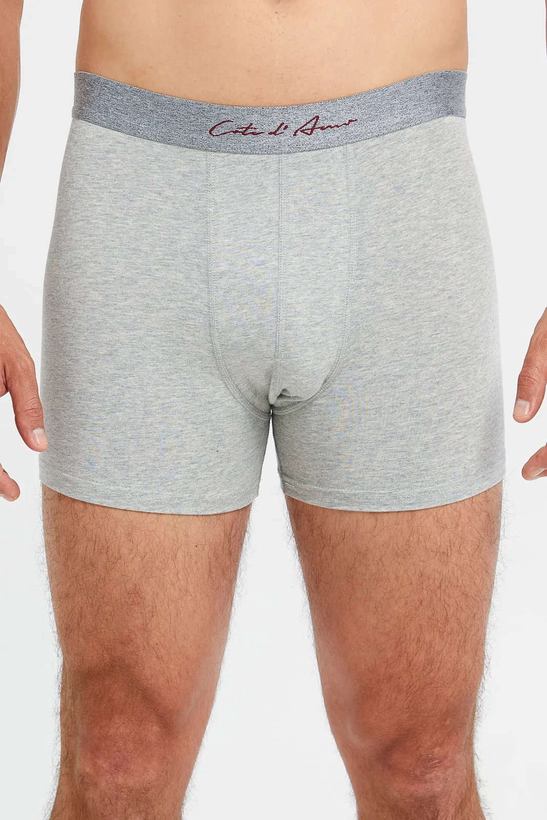 Men Grey And Charcoal Hipster Briefs (Pack of 2)