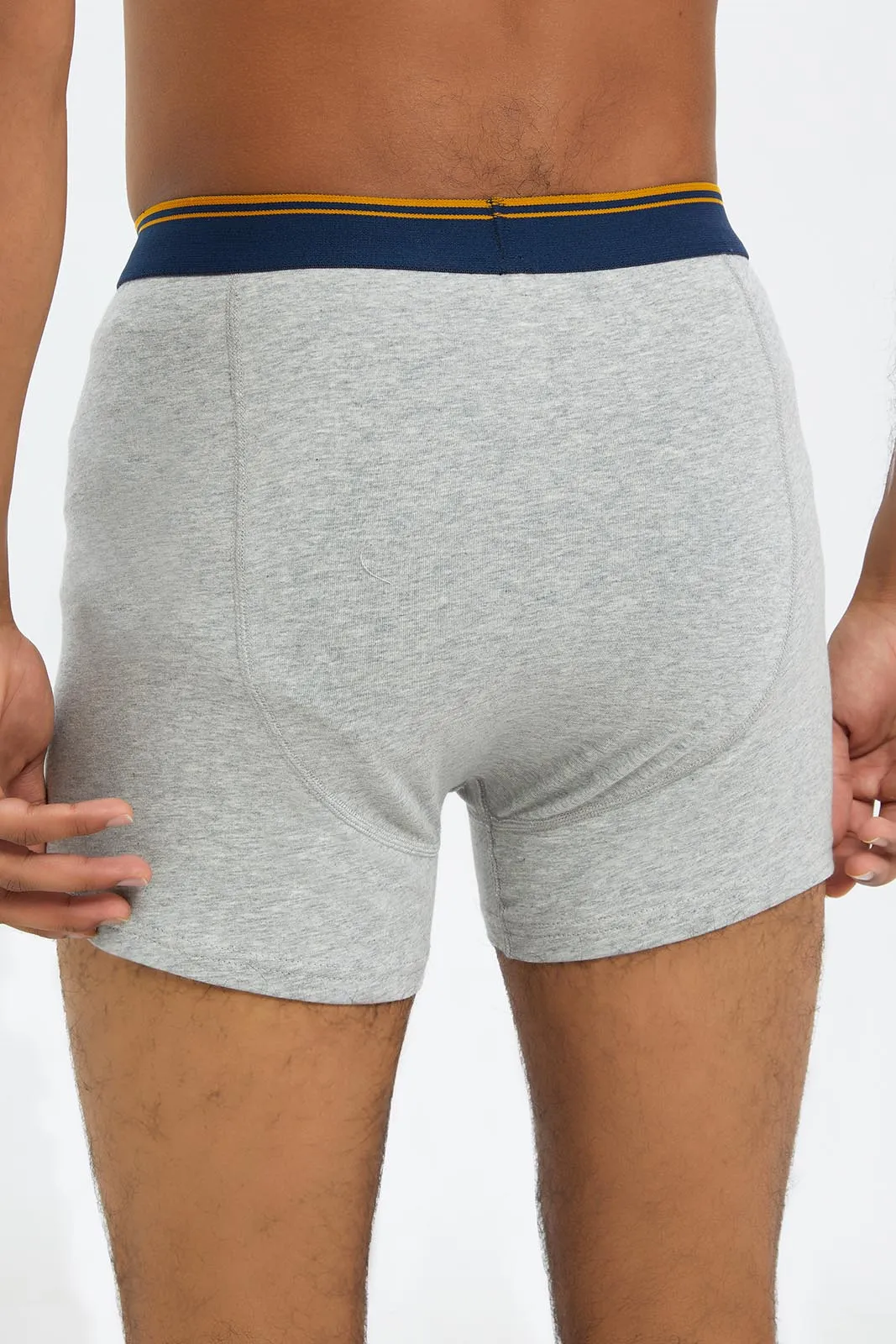 Men Grey And White Hipster Brief (2 Piece)