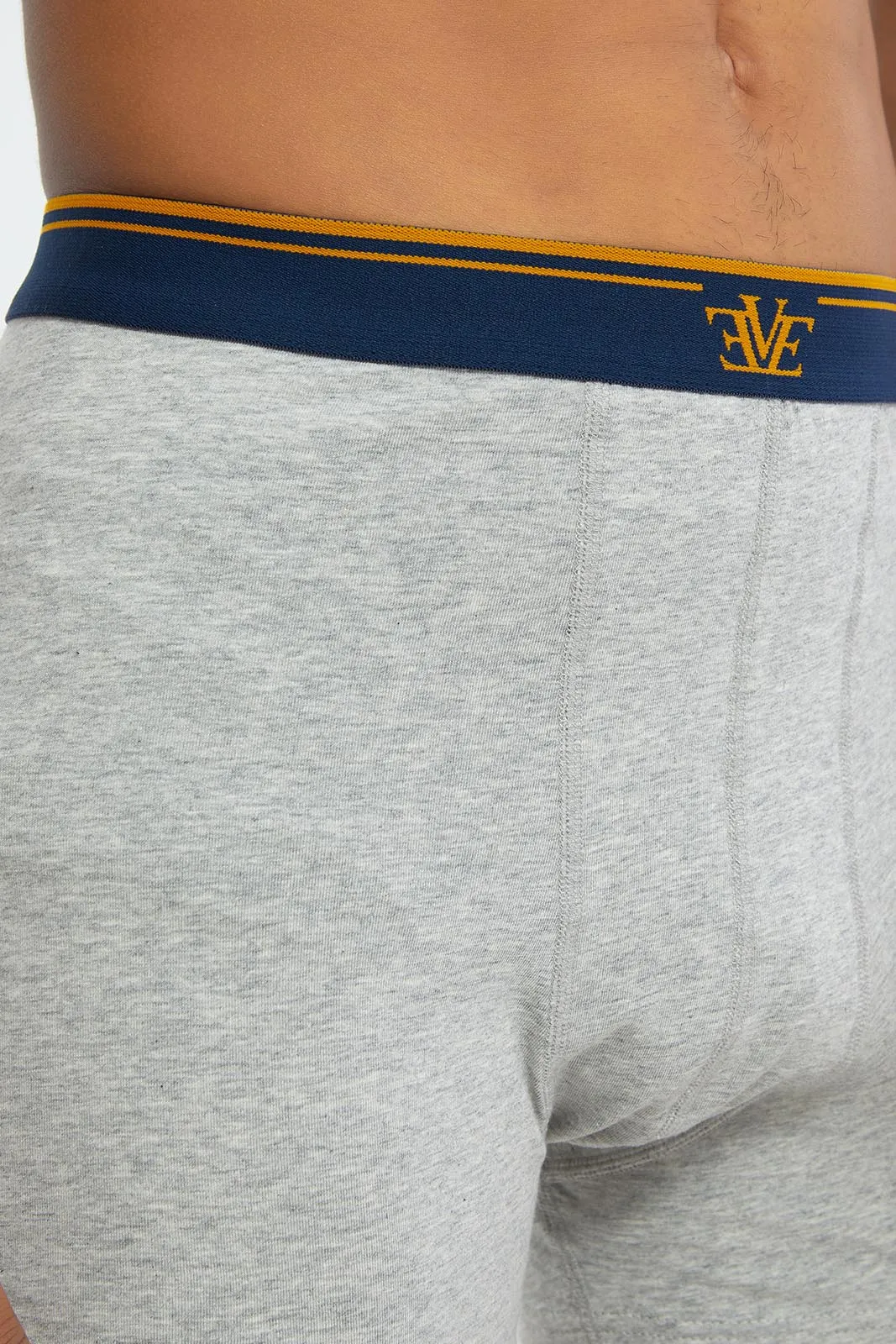 Men Grey And White Hipster Brief (2 Piece)