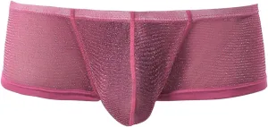 Mens Fashion Mesh Boxer Briefs Sexy Low Waist Shorts Lightweight Bulge Enhancing Pouch Underwears
