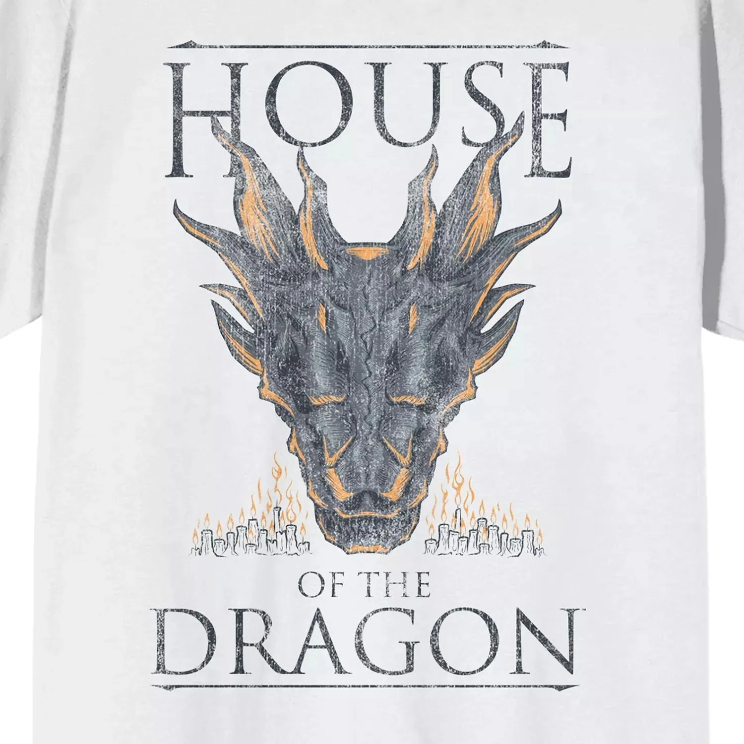 Men's House Of The Dragon Licensed Character T-Shirt