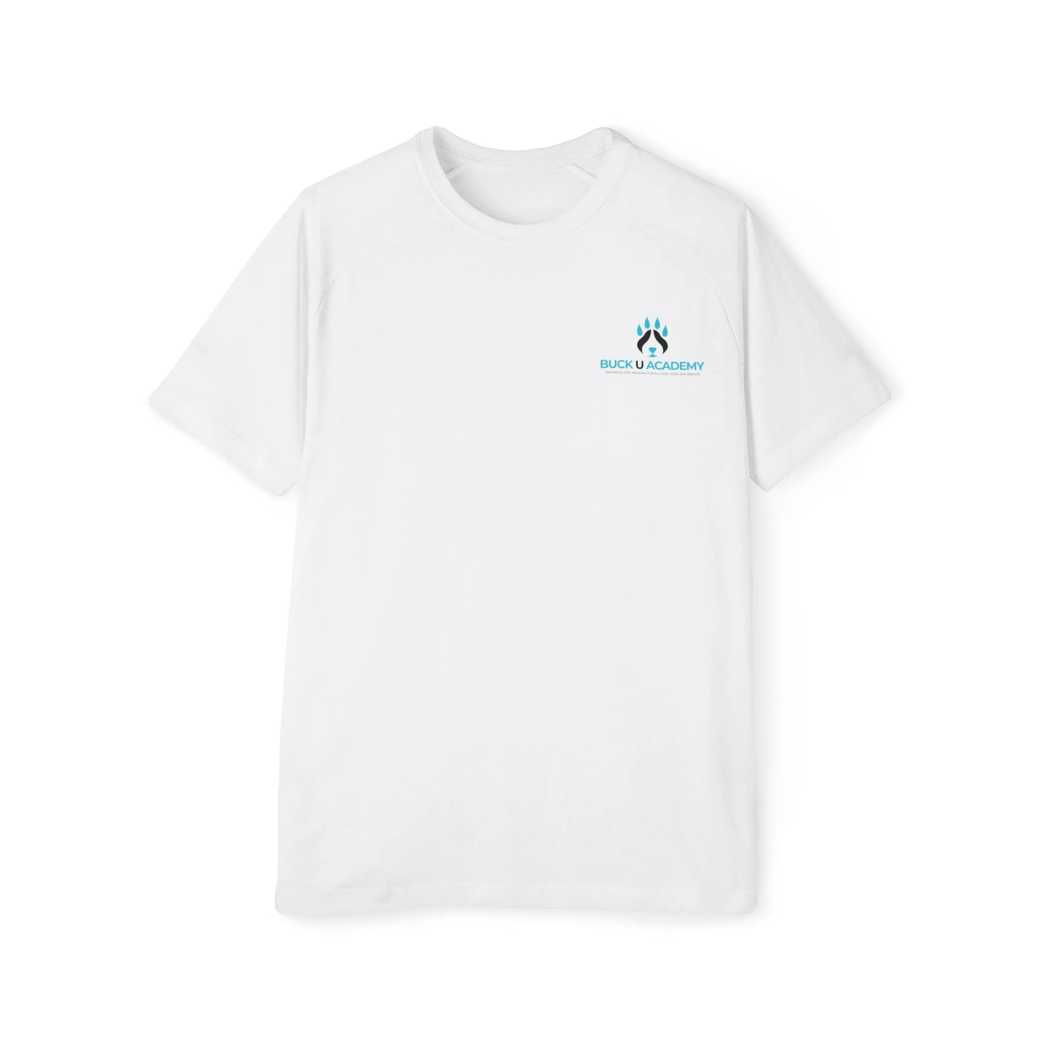 Men's Raglan T-Shirt