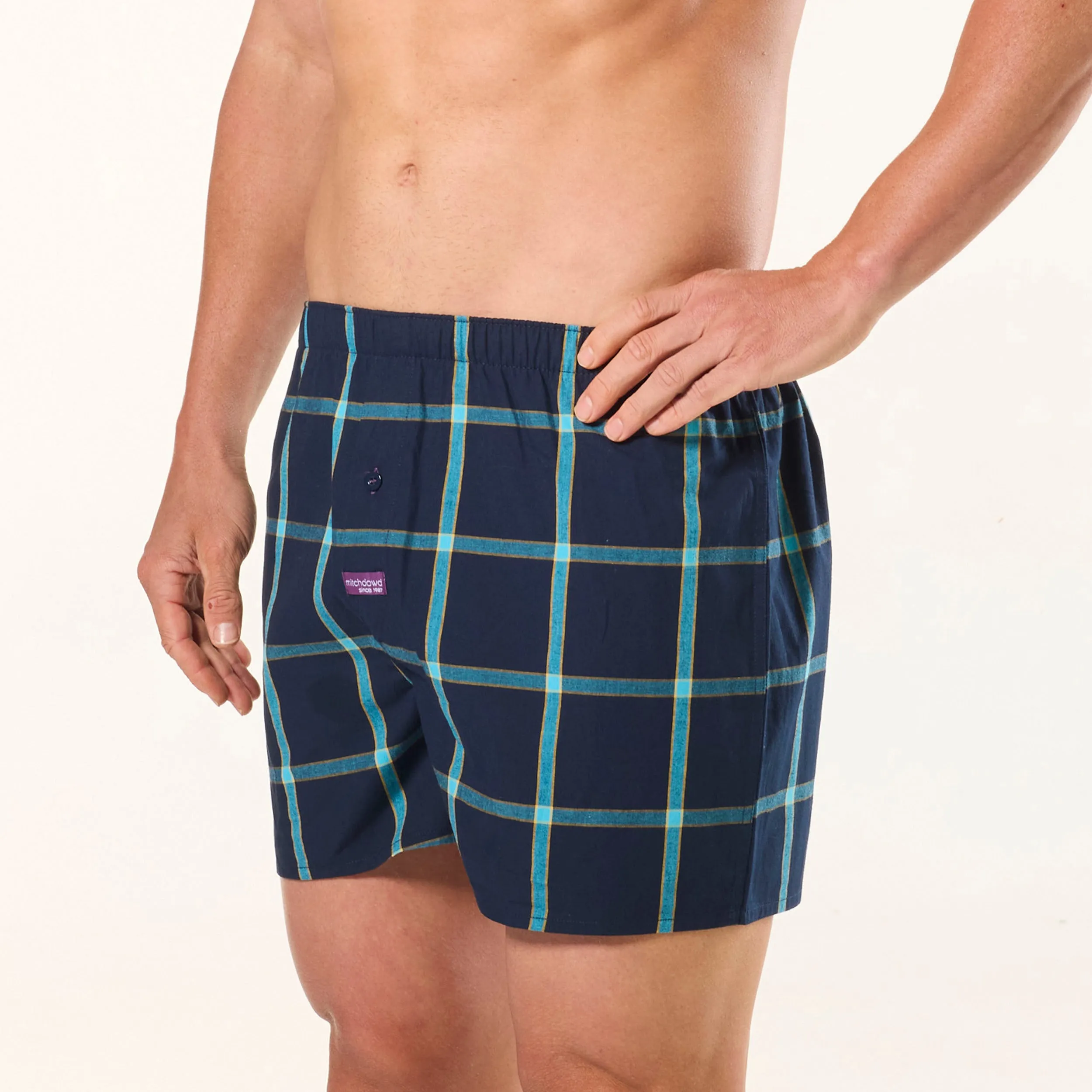 Men's Resort Check Cotton Boxer Short 3 Pack - Blue