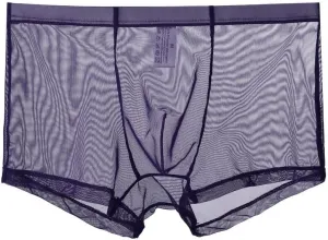 Mens Ultra Thin Underwear See Through Mesh Boxer Briefs Comfort Breathable Boxers Sexy Underwear Trunks for Men