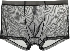 Mens Ultra Thin Underwear See Through Mesh Boxer Briefs Comfort Breathable Boxers Sexy Underwear Trunks for Men