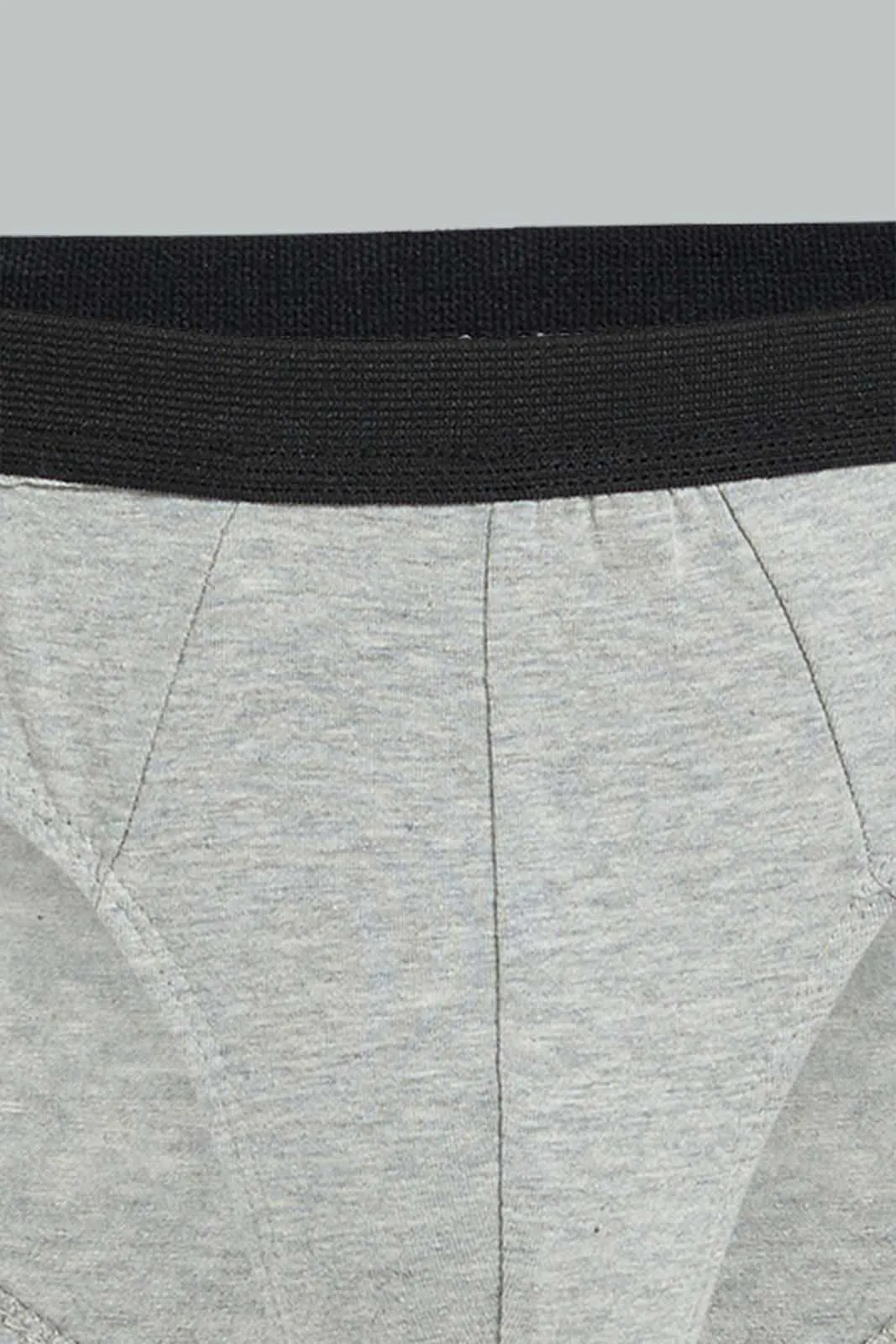 Navy & Grey Brief (Pack of 2)