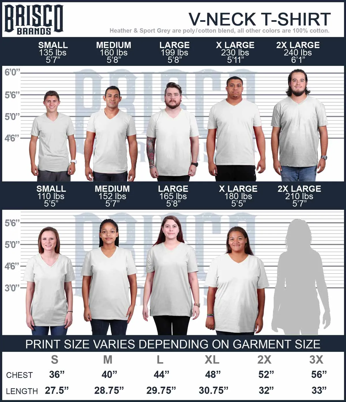 Politically Correct V-Neck T-Shirt