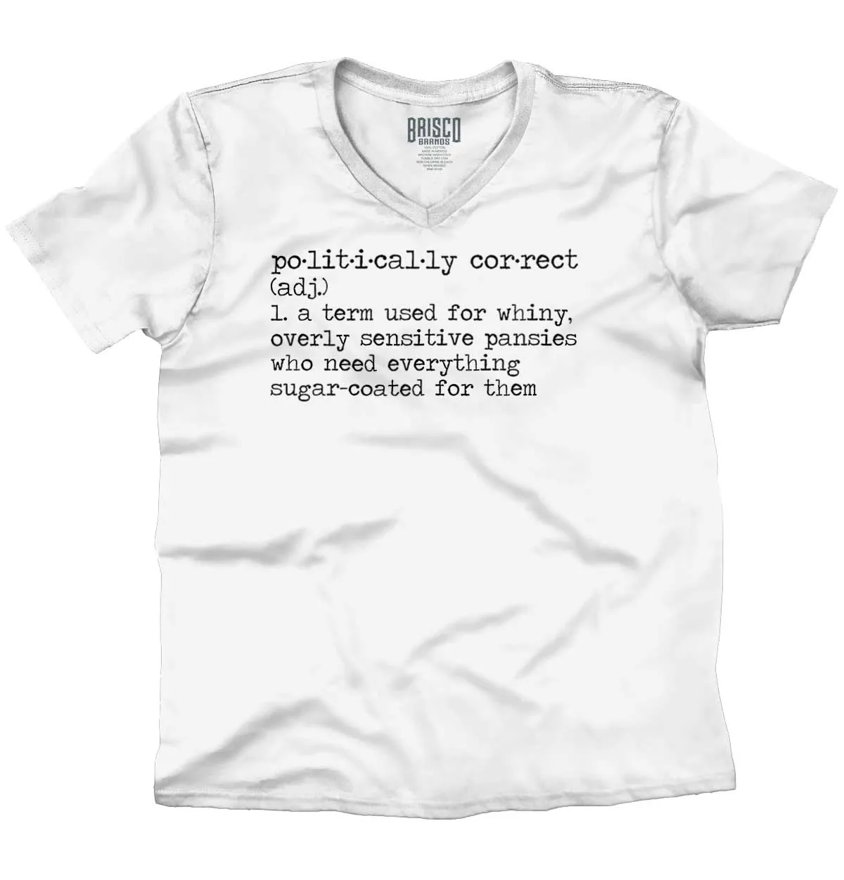 Politically Correct V-Neck T-Shirt