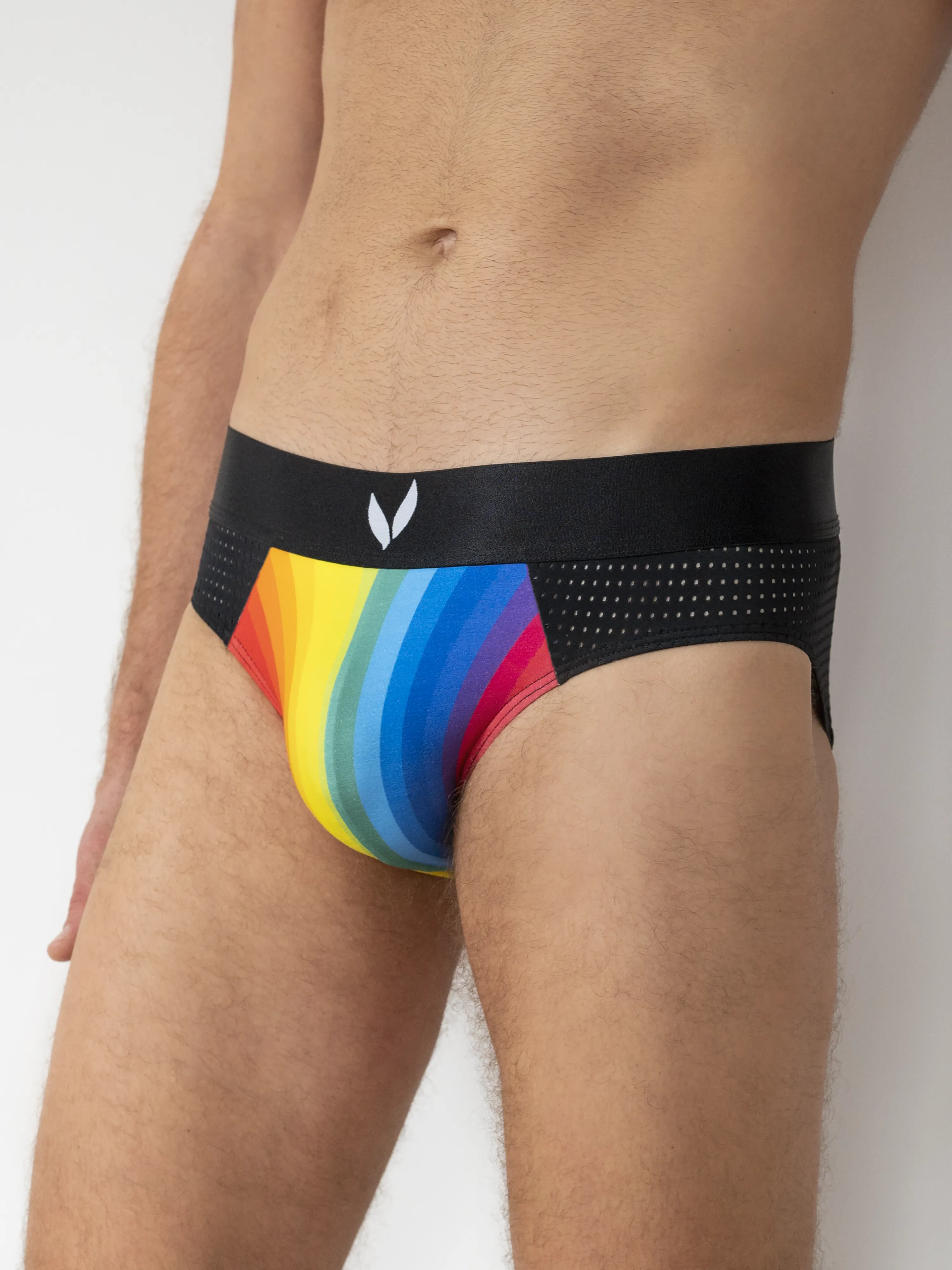 Rainbow Pouch Mesh Briefs - Black