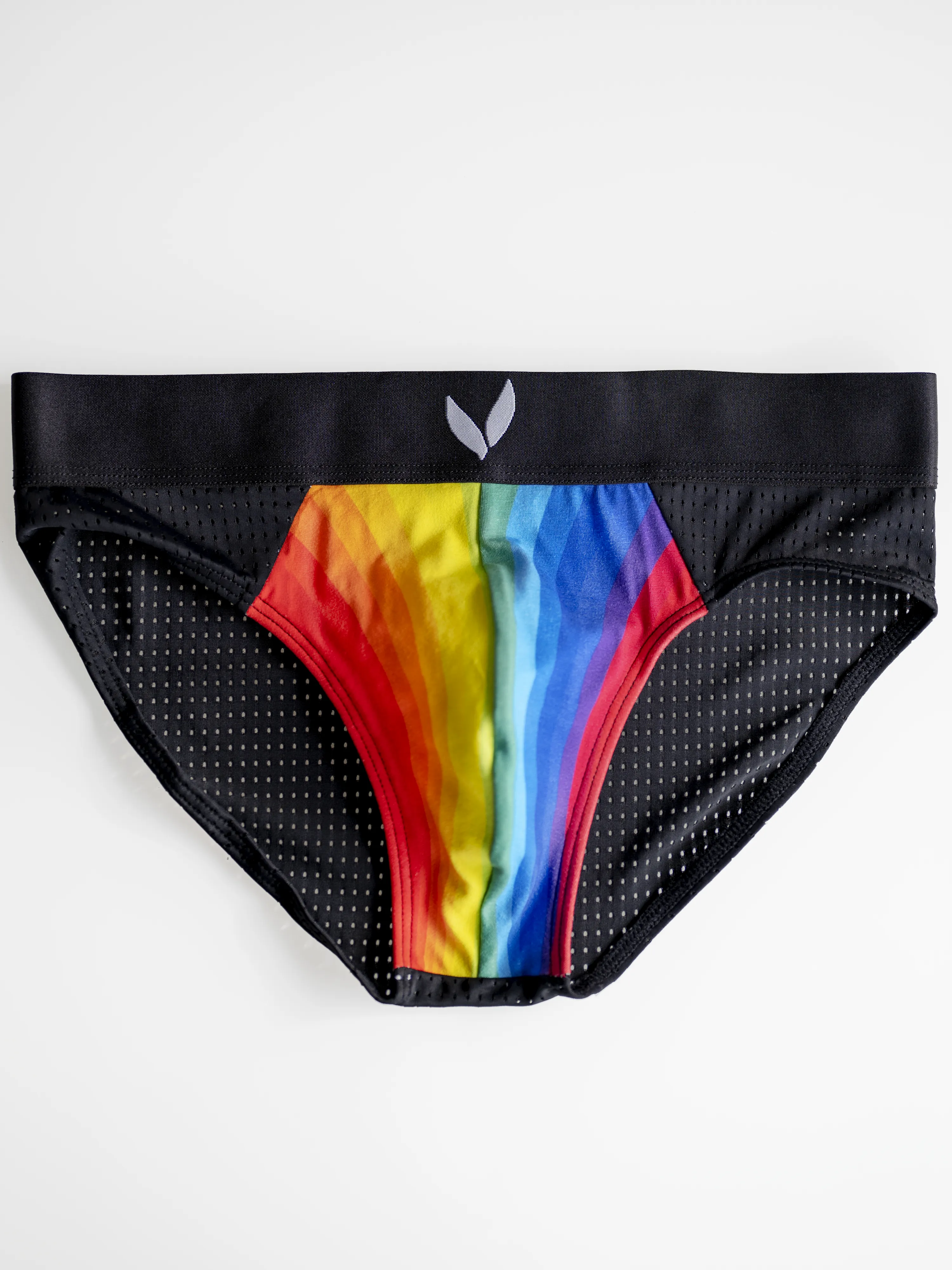 Rainbow Pouch Mesh Briefs - Black