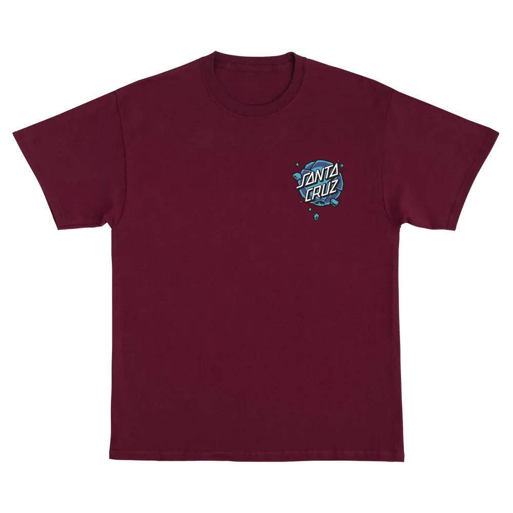 Santa Cruz Roskopp Destruct Face Mens T-Shirt - MAROON