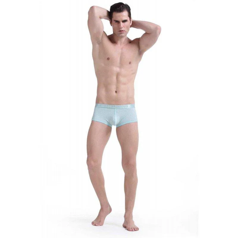 Simple Green Boxer Briefs