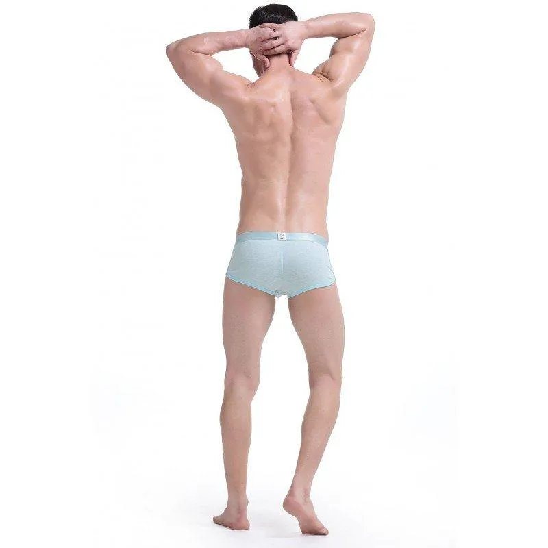 Simple Green Boxer Briefs
