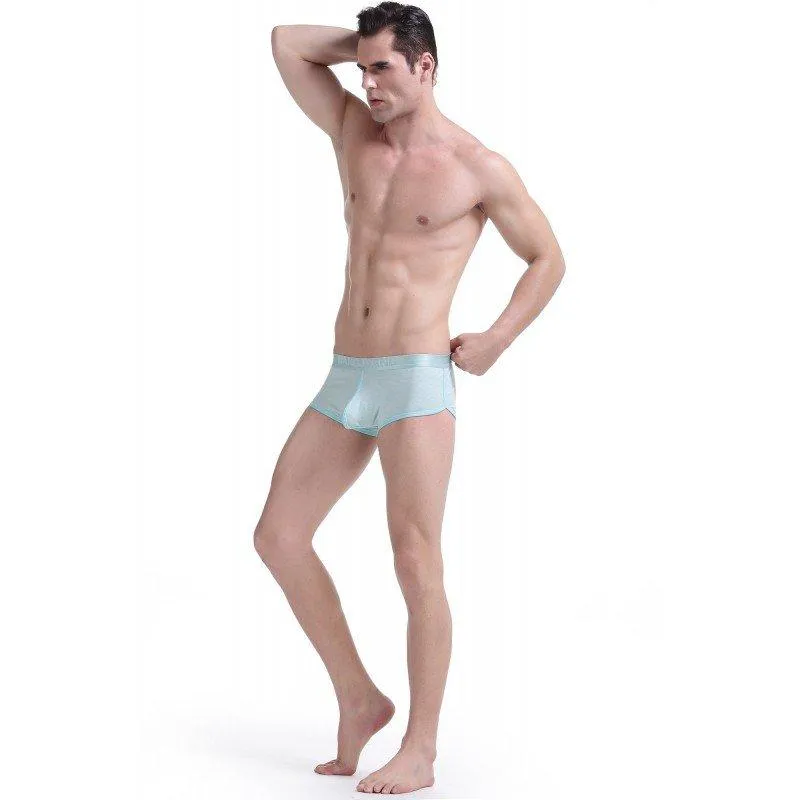 Simple Green Boxer Briefs