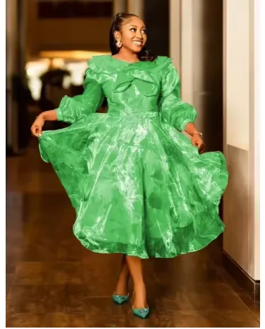 Women's A-line Dress - Women's Patchwork A Line O Neck Long Sleeve Organza High Waist Dress